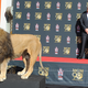 Image for article titled Apple and Netflix are apparently fighting over MGM of all things